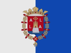 Bandera de Alicante